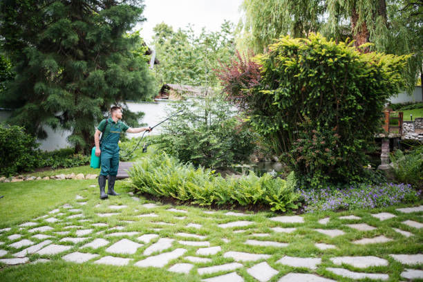 Best Local Pest Control Services  in Westmere, NY