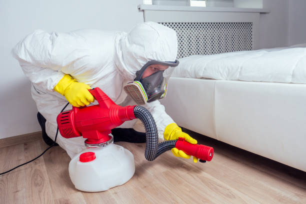 Best Pest Removal Services  in Westmere, NY