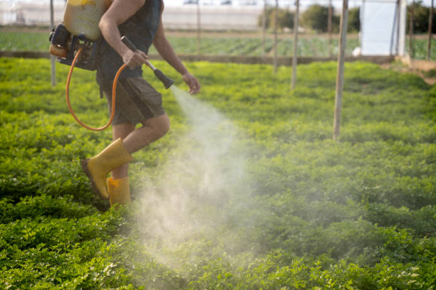 Pest Control for Restaurants in Westmere, NY