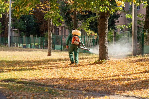 Best Termite Control Services  in Westmere, NY